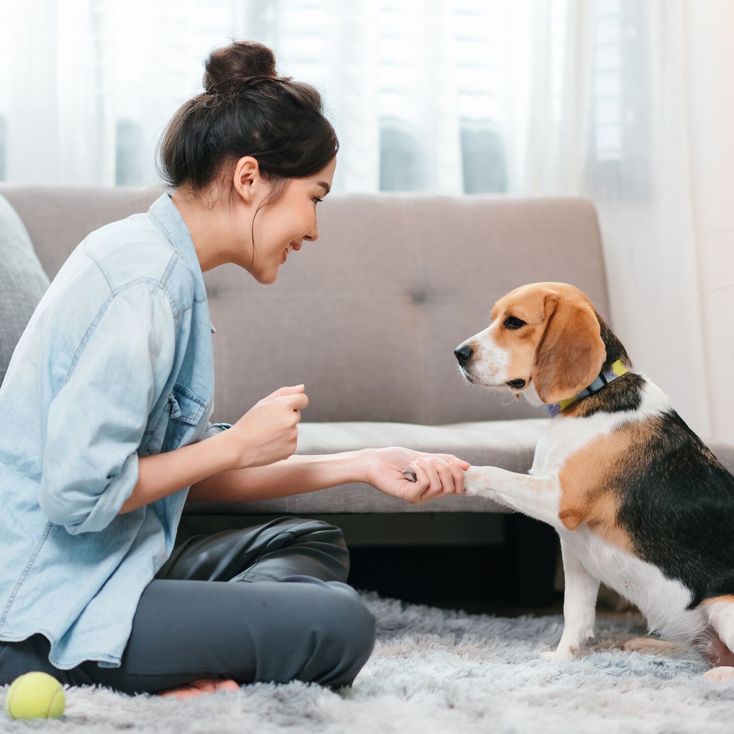<strong>EXICITING TRICKS AND INDOOR ACTIVITIES TO TRY WITH YOUR DOG THIS NEW YEAR</strong><br><br>The new year, as we know, is the perfect time to make resolutions: exercise more, save...